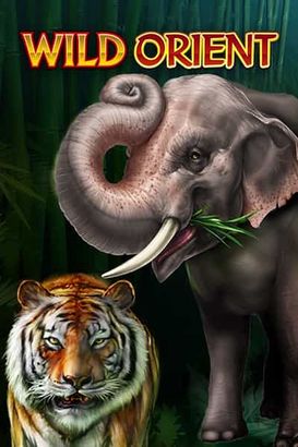 Wild Orient